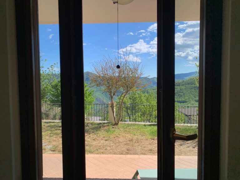 Garden seen through the glass doors