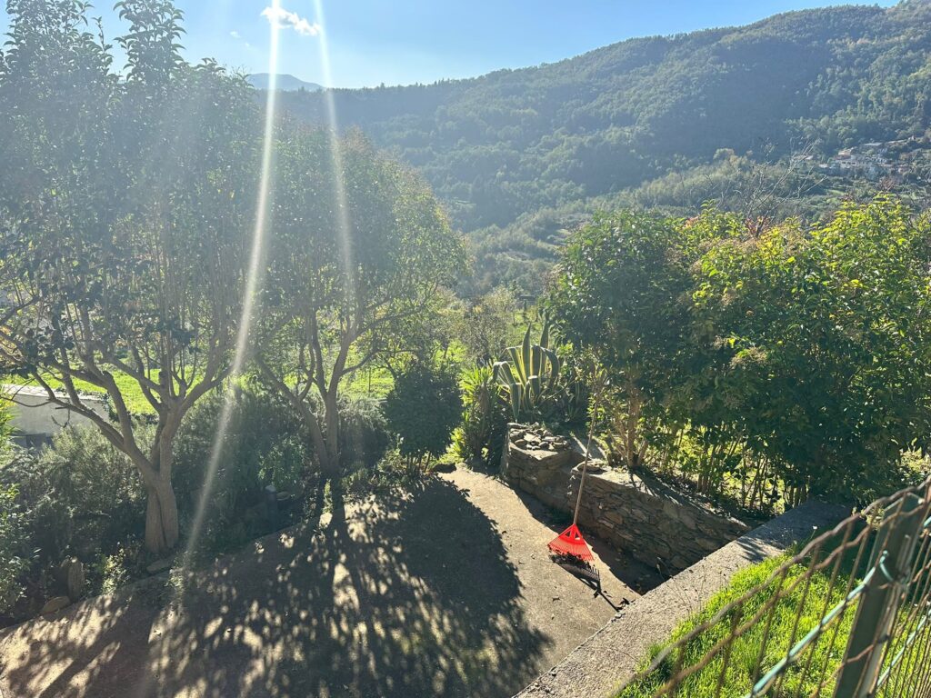 Garden with fruit trees and valley view