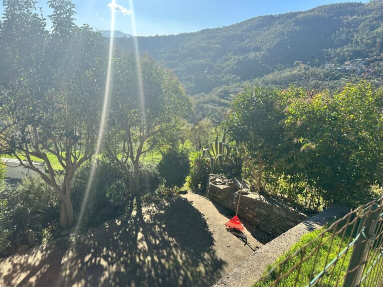 Garden with fruit trees and valley view