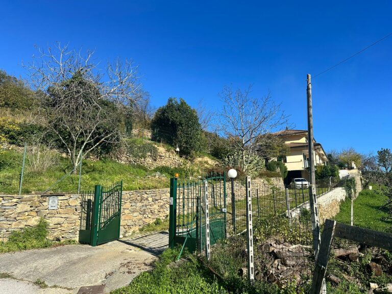Entrance gate and garden