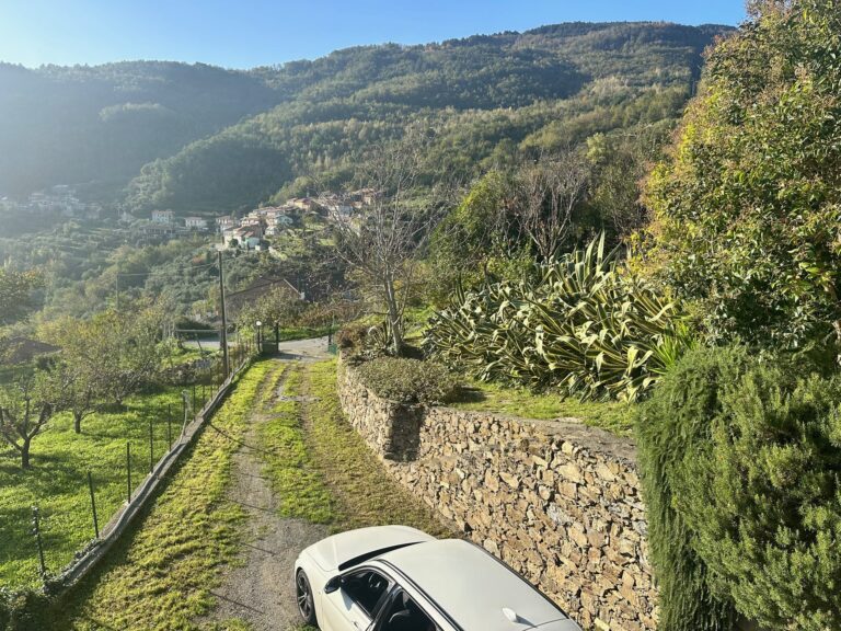 Olive groves and the village of Gavenola