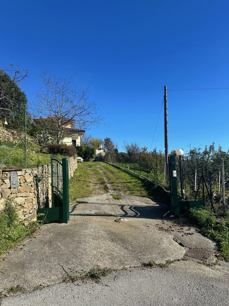 Driveway to the villa